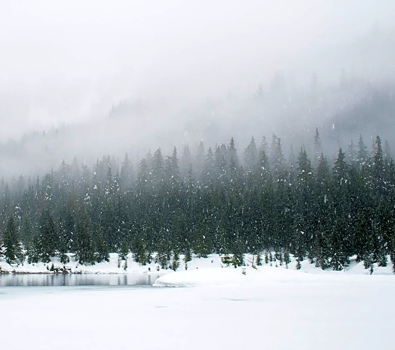 Snowbowl Sees 6 Inches of Snow Before Halloween Rain