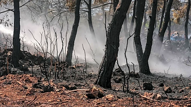 Wildfire Reported in Baxter Amid Warm, Windy Weather