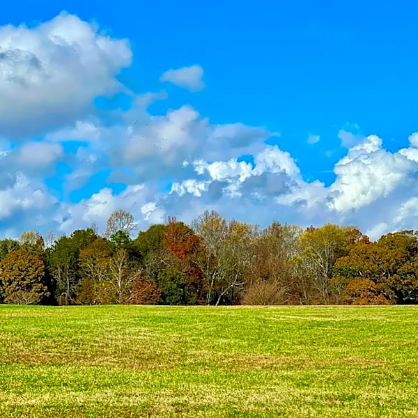 South Carolina Sees Warmer Week Ahead with Frost Advisory