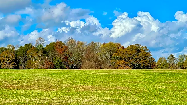 South Carolina Sees Warmer Week Ahead with Frost Advisory