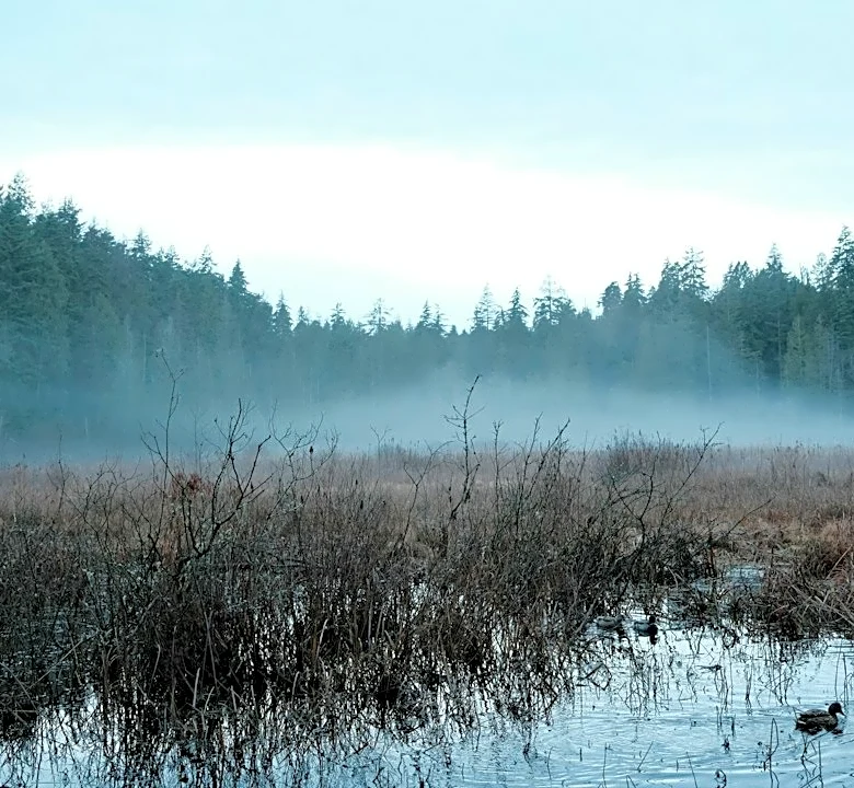 October Big Day Highlights Migratory Birds at Shine Preserve
