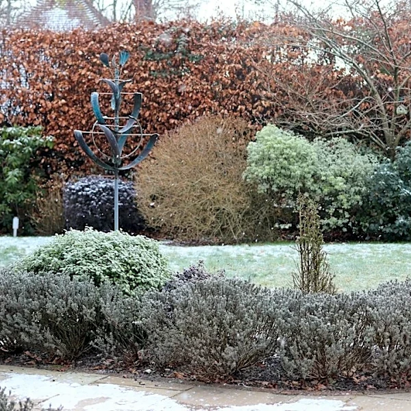 How to Winterize Your Garden and Protect Plants from the Cold