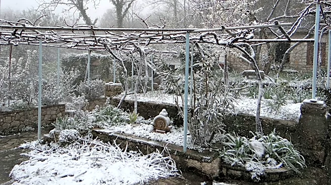 How to Protect Your Raised Garden Beds from Snow and Freezing Temperatures