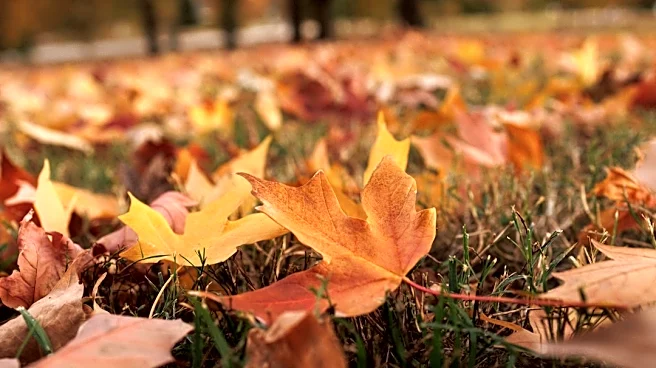 Baltimore County Invites Visitors to Enjoy Peak Fall Foliage