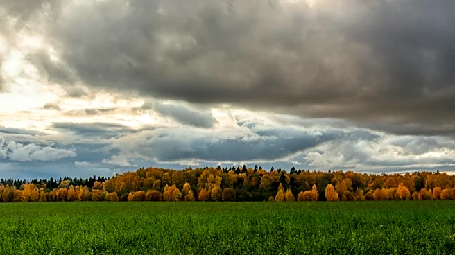 Warm, Dry Week Ahead; Rain Possible by Halloween