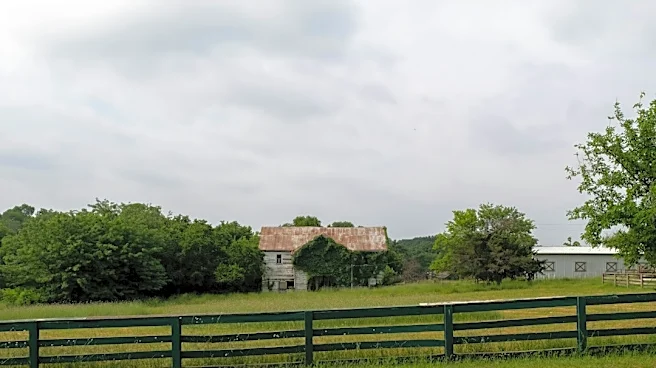 Flood Insurance Crucial for Texas Homeowners