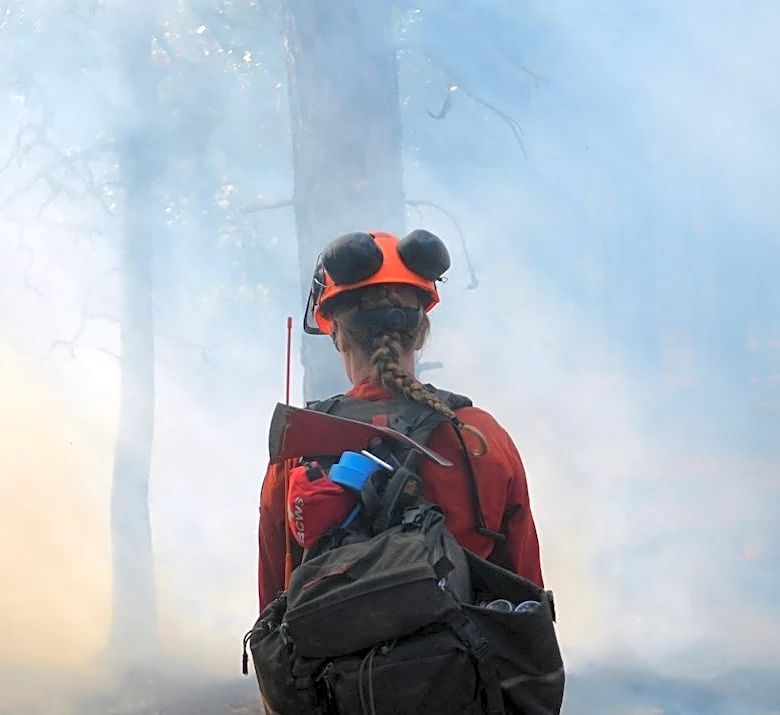 Fall and Winter 2026 Wildfire Outlook: Protecting Dogs from Smoke