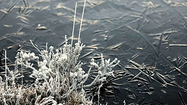 Understanding Frost Formation: Air vs. Surface Temps