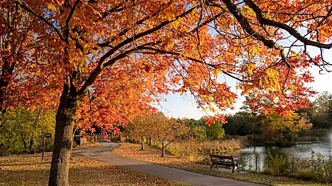 Warm Weather Persists in Toledo Through Halloween
