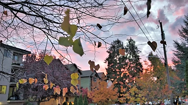 Rain Returns to Seattle Ahead of Chilly Halloween