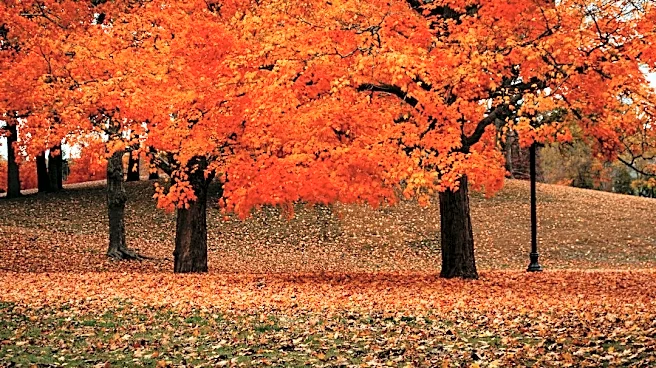 How to Prepare Your Lawn for Fall in the Pacific Northwest