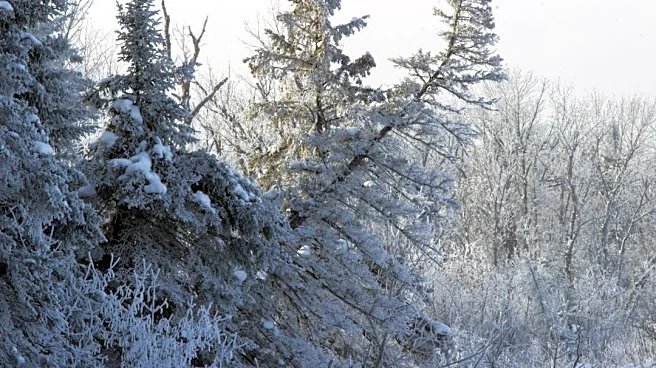 Frost Brings Relief to Minnesota Outdoor Enthusiasts