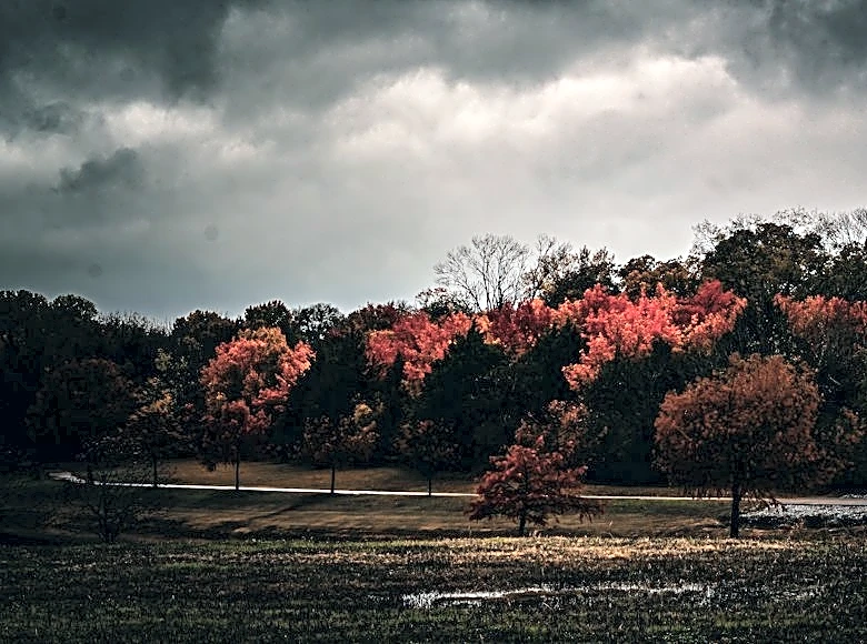 Rain Expected for Halloween Weekend in Texas