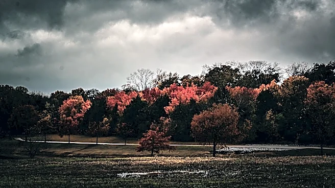 Rain Expected for Halloween Weekend in Texas