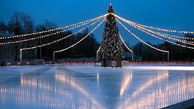 Top Ice Skating Rinks in Northern Virginia for Beginners