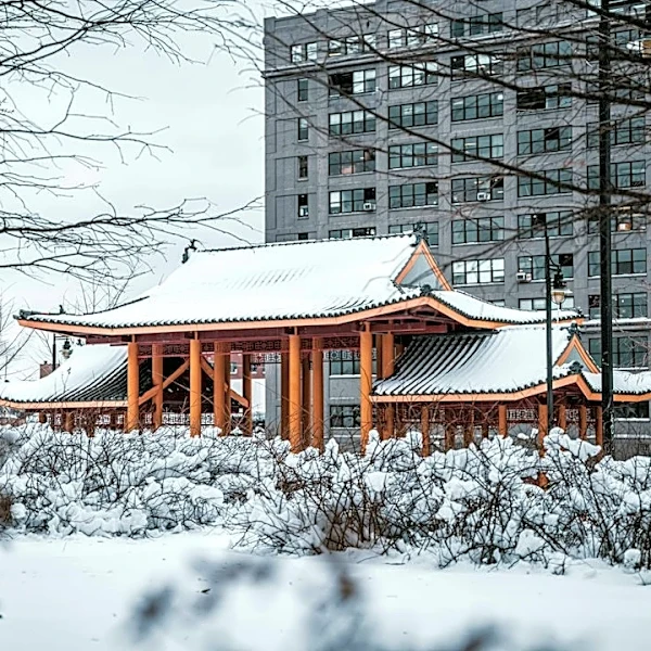 Prepare Your Chicago Property for Winter Weather