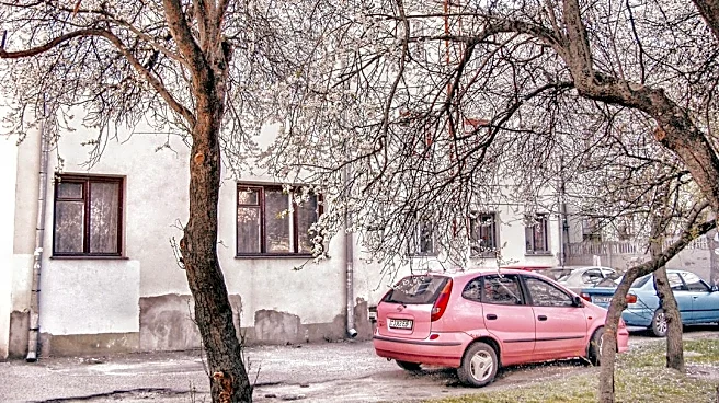 Prepare for First Frost With Essential Winter Tips