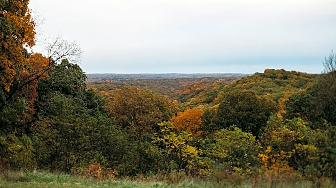 Rain Showers Expected in Nashville This Halloween Weekend
