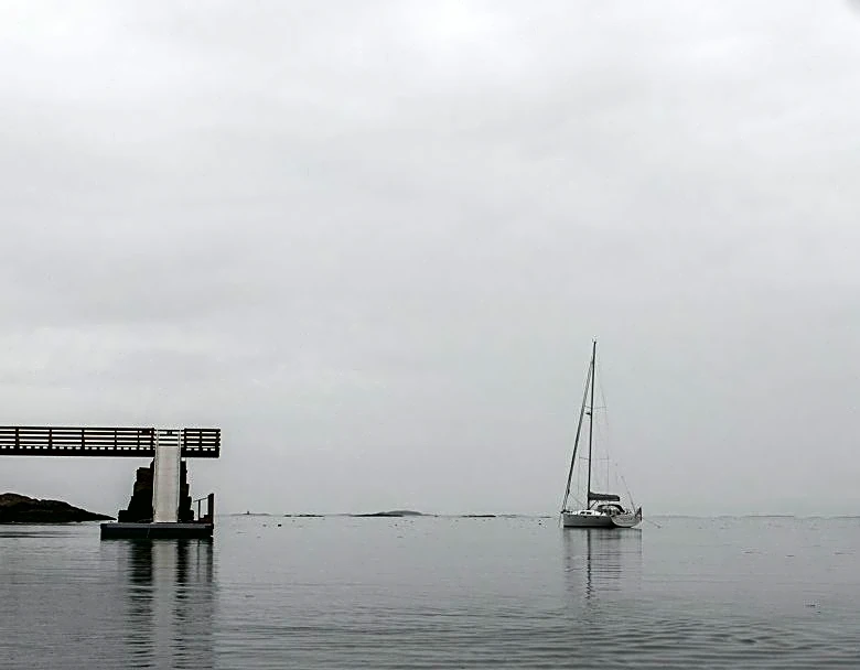 Gulf of Maine Algal Bloom Shows Signs of Decline