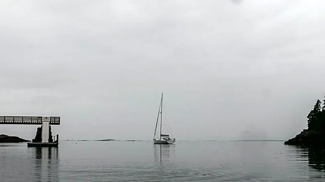Gulf of Maine Algal Bloom Shows Signs of Decline