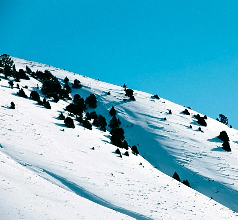 Skier Rescued After Avalanche on Mount Bross, Colorado