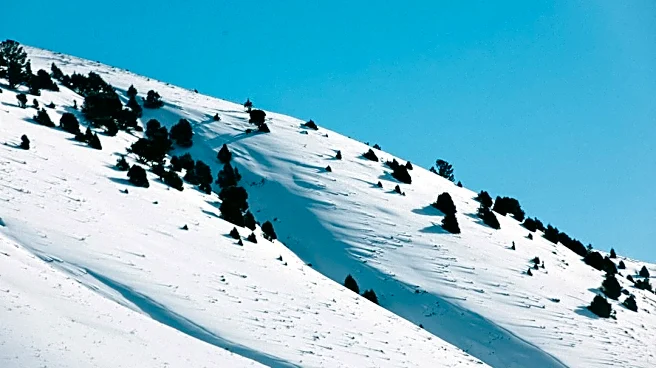 Skier Rescued After Avalanche on Mount Bross, Colorado
