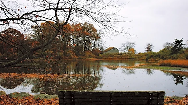 Mild Fall Weather Continues Across Long Island