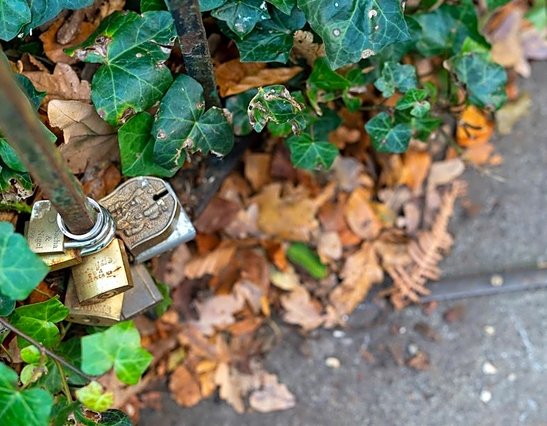 Prepare Pipes for Freezing Temps This Halloween