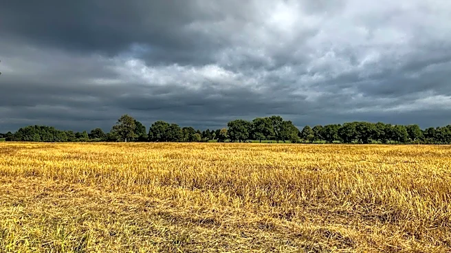 Storms to Narrow Harvest Window in Early November