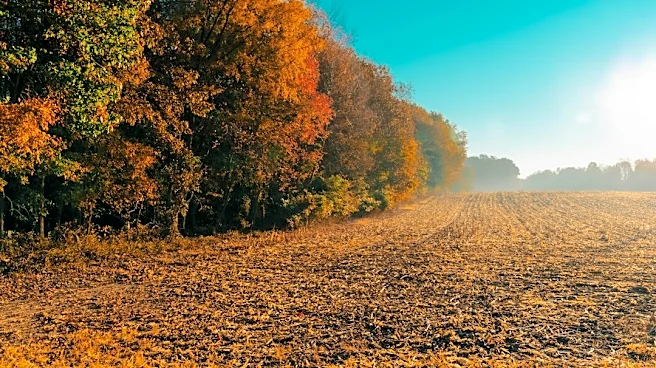 Exceptional Drought Conditions Persist in Tennessee