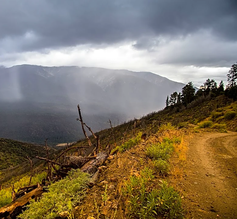 Record-Wet Winter Predicted for California