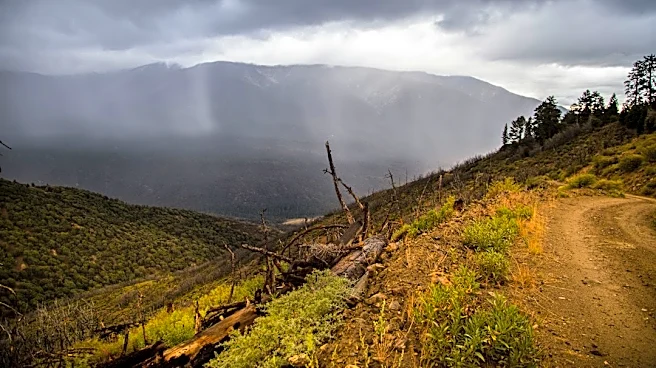 Record-Wet Winter Predicted for California