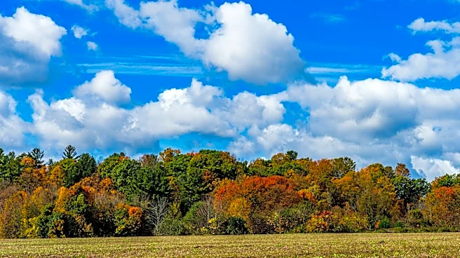 Warm and Sunny Weather Expected in Lima, Ohio for Late October