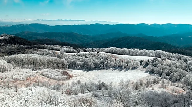 First Frost Dates Announced for North Carolina