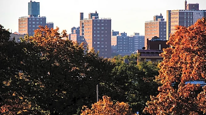 Brooklyn Sees Pleasant Fall Chill Before Warmup
