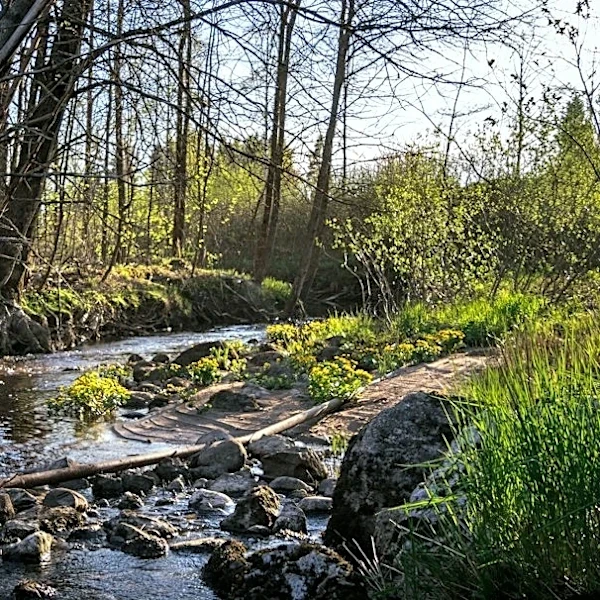 Erosion Threatens Bridge Stability in Washington State