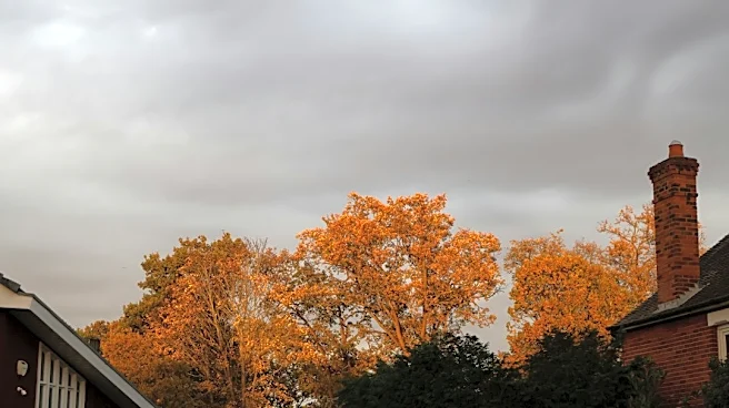 Rain Expected to Return for Halloween Weekend in Jackson