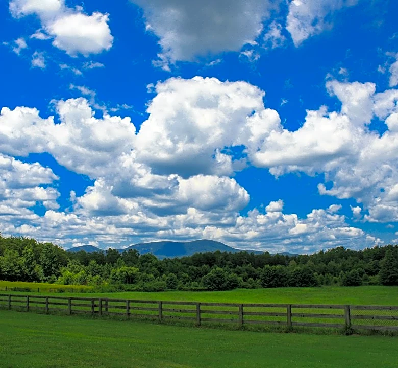 Rain Returns to Greenville After Dry Streak