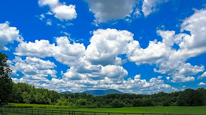 Rain Returns to Greenville After Dry Streak