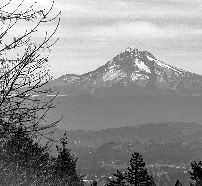 Rainy Start in Portland, Drier Weekend Ahead
