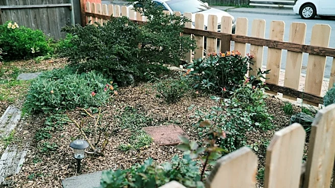 How to Protect Your Raised Beds From Snow and Freezing Temperatures