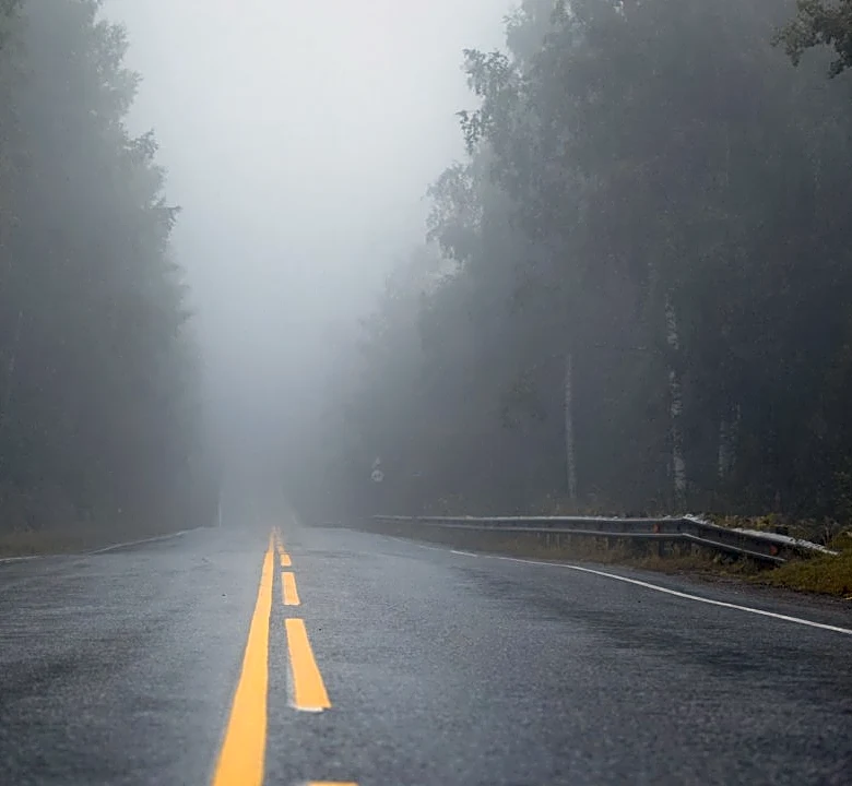 How to Drive Safely in Fog: Tips for Clearer Vision and Better Control