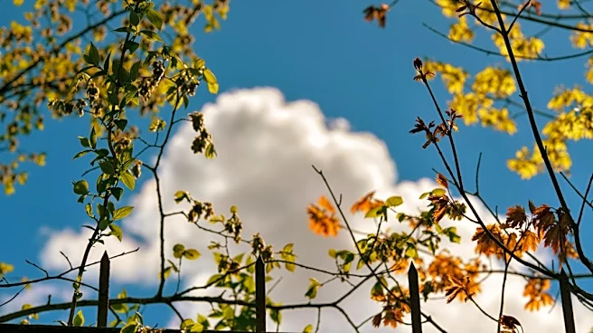 Warmer Weather Expected After Chilly Start in Vermont