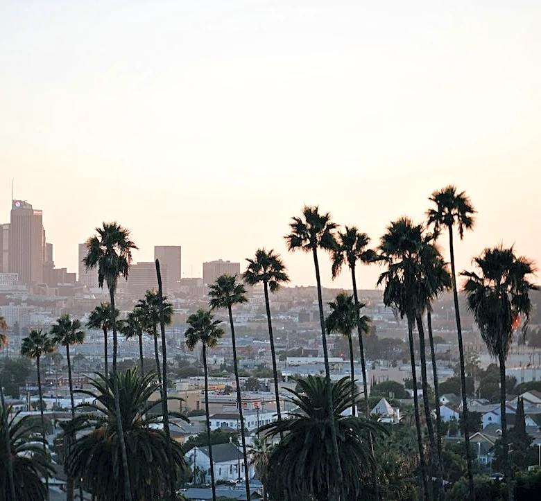 Santa Ana Winds Amplify Wildfire Risks in Los Angeles