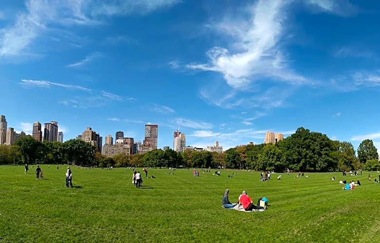 Mild Weather and Clear Skies in New York This Week