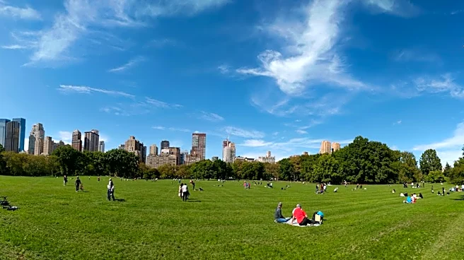 Mild Weather and Clear Skies in New York This Week