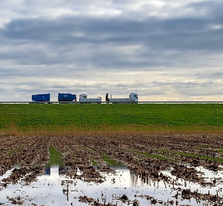 USDA Offers Disaster Assistance to Alabama Farmers After Hurricane Isaias