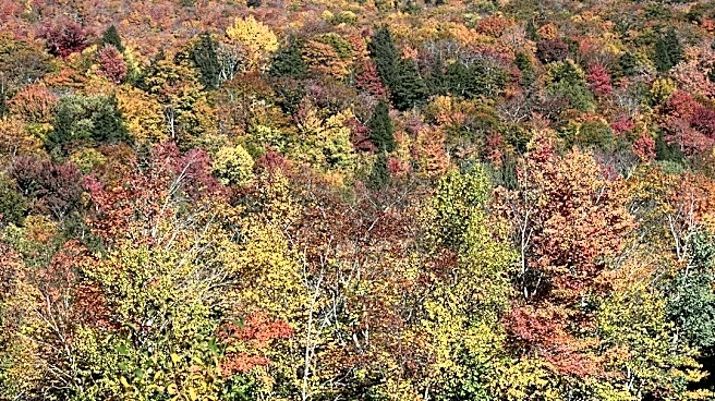 Sunny Skies and Cool Nights for Northeast Through Weekend