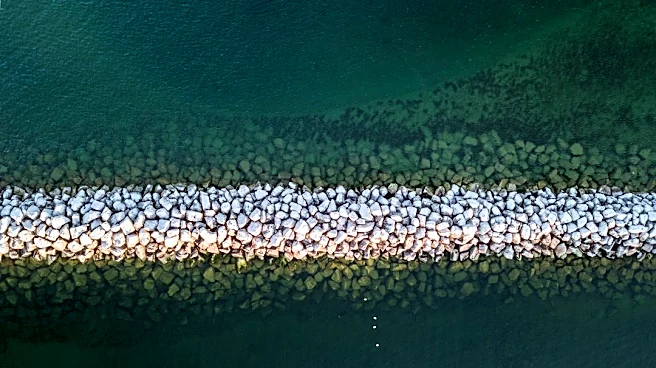Climate Change Extends Allergy Seasons in Wisconsin