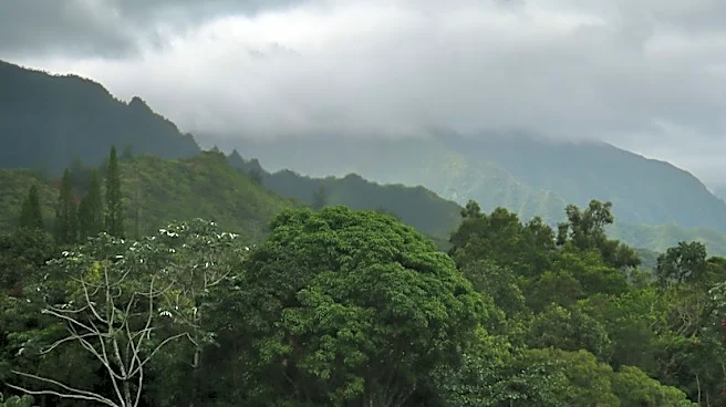 Flood Watch Issued for Hawaii Amid Heavy Showers